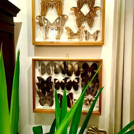 Butterfly Apartment Budapest