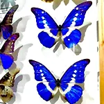 Butterfly Appartement Budapest