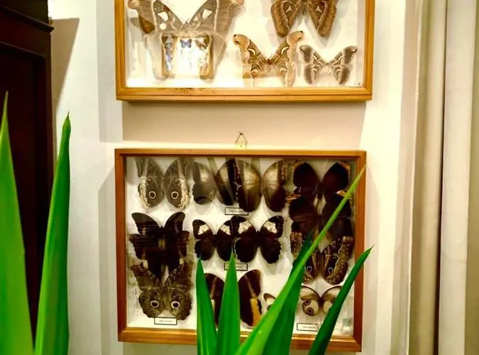 Butterfly דירה בודפשט